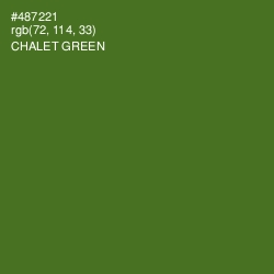 #487221 - Chalet Green Color Image